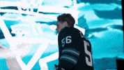 San Jose Celebration GIF by San Jose Barracuda