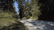 harleydavidson harley harley-davidson h-d harley motorcycle GIF