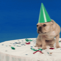 Dance Love GIF by [PIAS] UK