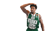 Basketball Hoops Sticker by Basket_fi