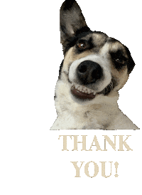 Happy Dog Sticker by helpinganimalsromania