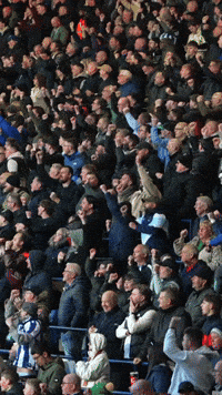 West Brom Fans GIF by West Bromwich Albion