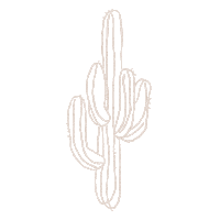 desert cactus Sticker by Spell & The Gypsy Collective