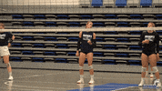 Happy Dance GIF by keyanohuskies