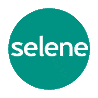 Seleneoriginal Sticker by selene