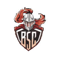 BasketSanCasciano bsc san casciano basket sancascianobasket basket san casciano Sticker