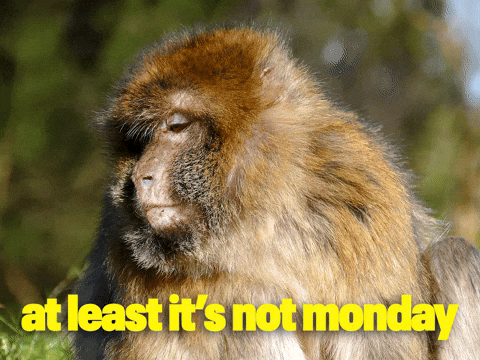 Another One Friday GIF by Sealed With A GIF