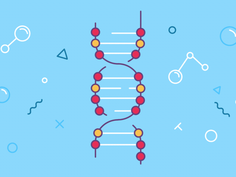 dibujo animaciÃ³n GIF