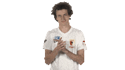 Fc Augsburg Fifa Sticker by Bundesliga