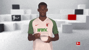 Fc Augsburg Football GIF by Bundesliga