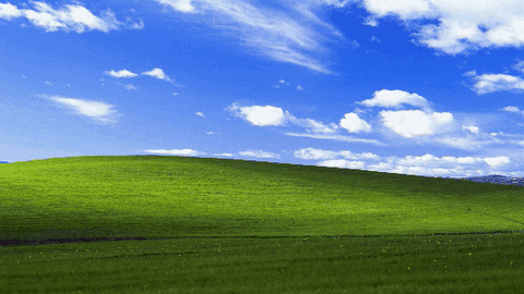 Wallpaper GIF