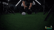 Tulane Rollwave GIF by GreenWave