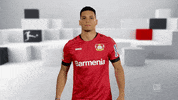 Awesome I Love You GIF by Bundesliga