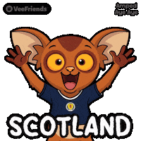 Excited World Cup Sticker by VeeFriends