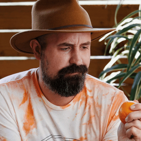 askpivot giphyupload orange fresh bite GIF