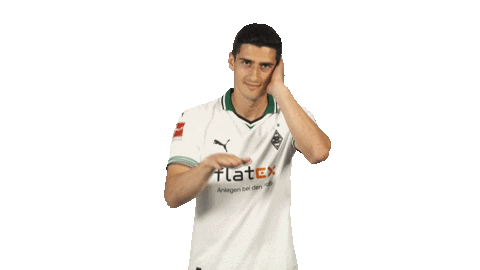 Borussia Monchengladbach Dj Sticker by Bundesliga