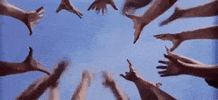west side story hands GIF