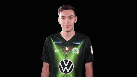 E Sports Sport GIF by VfL Wolfsburg