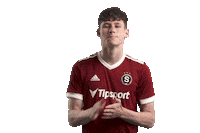 Acsparta Ruce Sticker by AC Sparta Praha