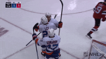 ice hockey GIF by NHL