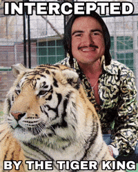 Tiger-Cats Cats GIF