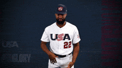 Pro GIF by USA Baseball