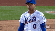 New York Smile GIF by MLB