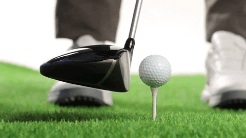 majorworld giphygifmaker GIF