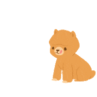 Dog Comida Sticker by Petland Florida