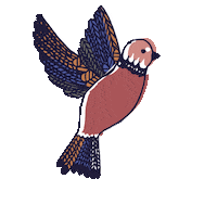 Bird Sticker by popandpartners