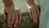 holding hands love GIF