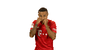 Fc Bayern Fighting Sticker by Bundesliga