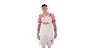 Football Smile Sticker by RB Leipzig