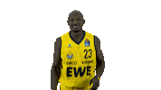 Ewe Baskets Basketball Sticker by EWE Baskets Oldenburg