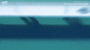 Venture Capital Growth GIF by Invest Europe