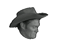 Cowboy Zimbabwe Sticker by Tomorrow Television
