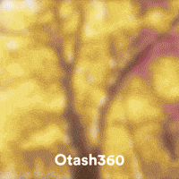 Jujutsu Kaisen Jjk GIF