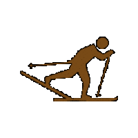 teamampl giphygifmaker winter skiing recreation Sticker
