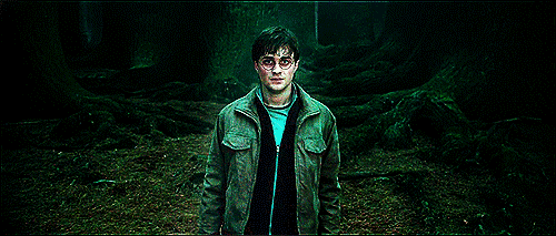 harry potter and the sorcerers stone GIF