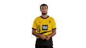 Ramy Bensebaini Football Sticker by Borussia Dortmund