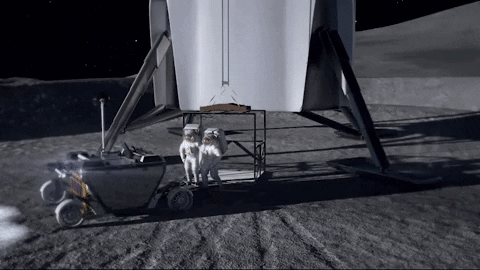 giphyupload GIF