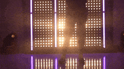 Washington Huskies Softball GIF by NCAA Championships