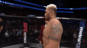 ufc 209 GIF