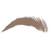Bushybrow Sticker by Lime Crime