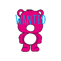 usamorde bear oso usamorde Sticker
