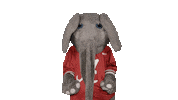 Crimson Tide Ua Sticker by The University of Alabama