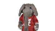 Crimson Tide Ua Sticker by The University of Alabama