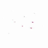 tmlmoney bww thank me later black women will GIF