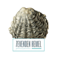 7evendenhemel denbosch s-hertogenbosch korteput korteputstraat Sticker