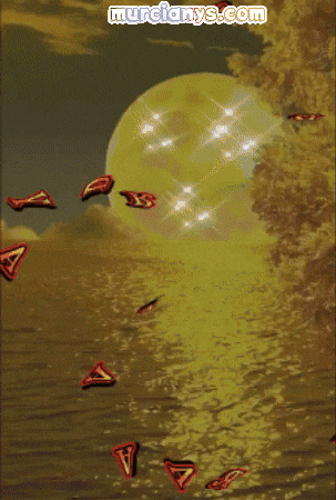 Sol Vamos GIF by Murcianys LLC